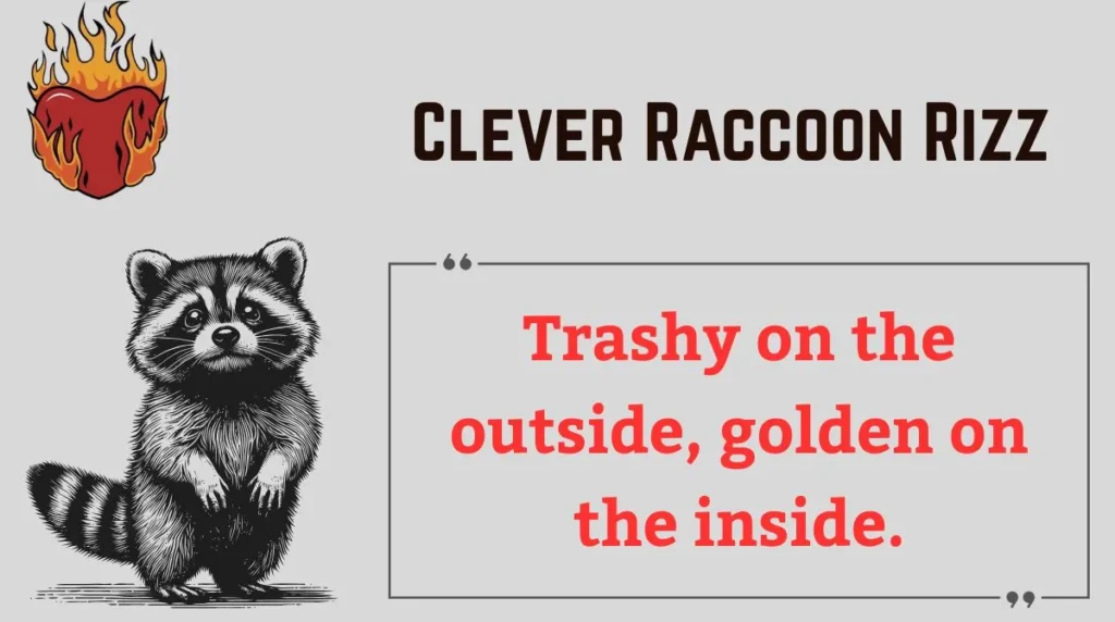 Clever Raccoon Rizz