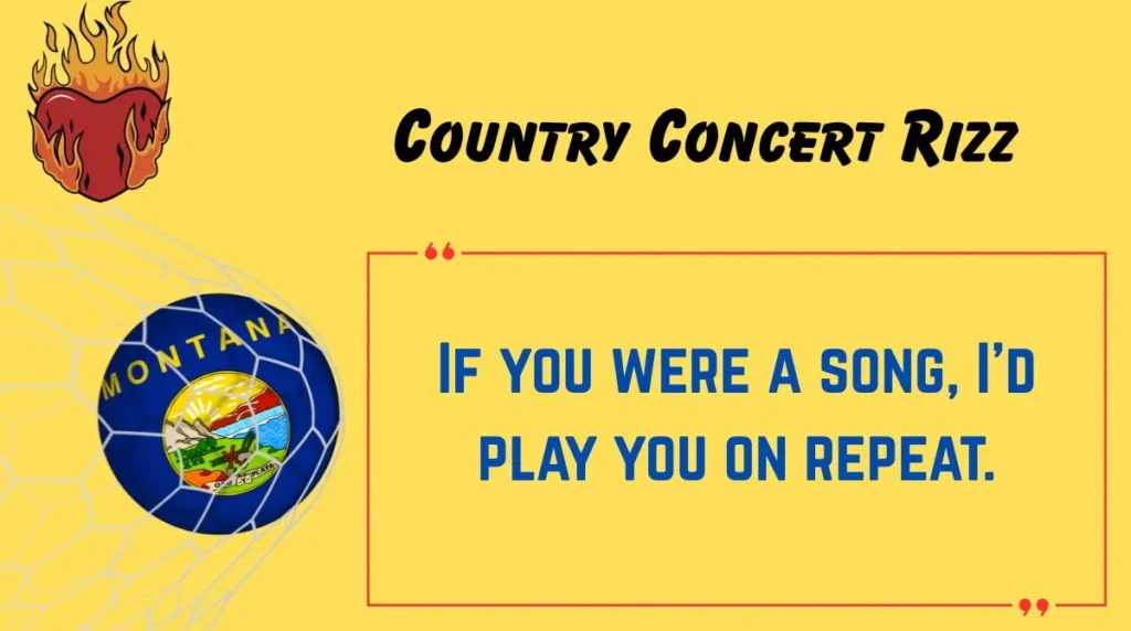 Country Concert Rizz