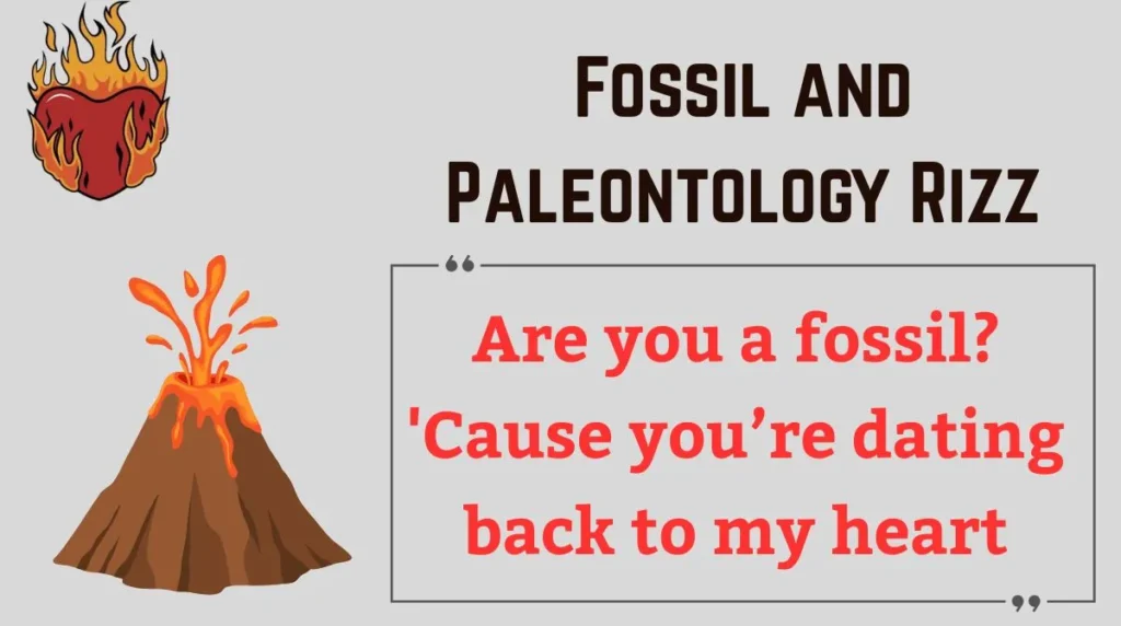 Fossil and Paleontology Rizz