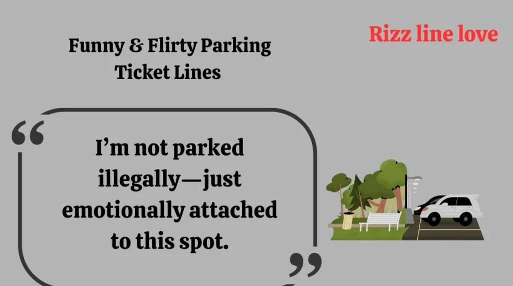 Funny & Flirty Parking Ticket Lines 