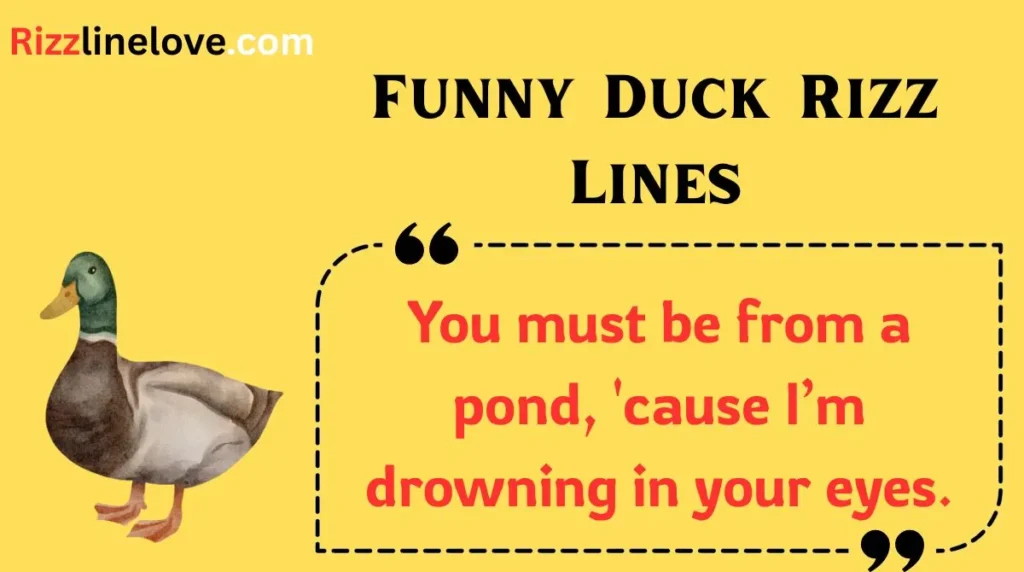 Funny Duck Rizz Lines