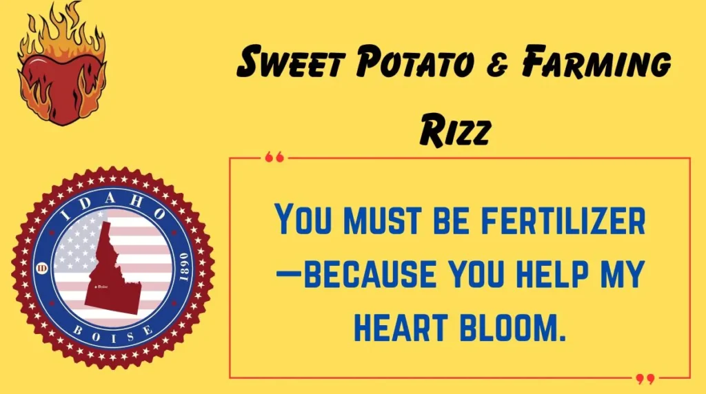 Sweet Potato & Farming Rizz