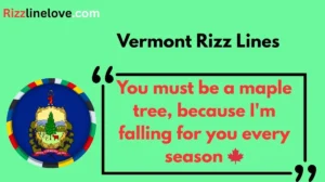 Read more about the article 💚 120+ Vermont Rizz Lines (2025) 🍁✨ | Flirt with Green Mountain Style