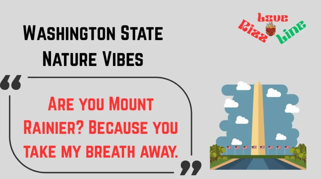 Washington State Nature Vibes