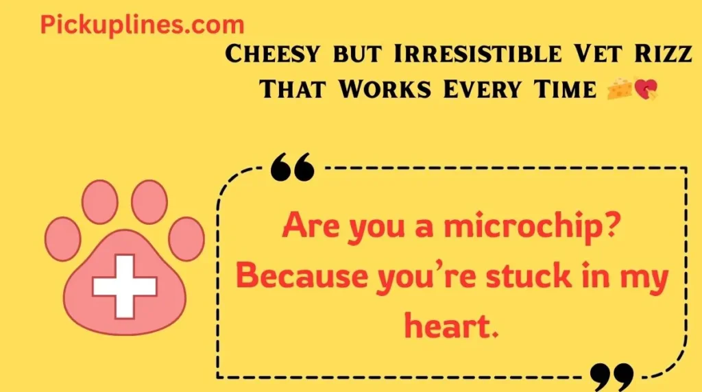 Cheesy but Irresistible Vet Rizz That Works Every Time 