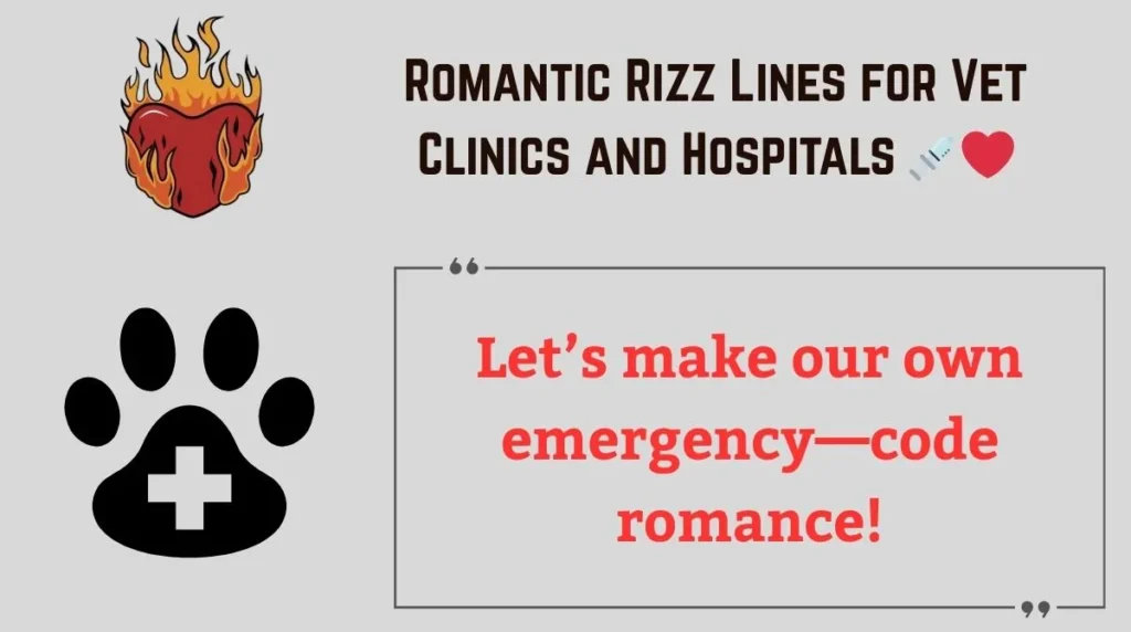Romantic Rizz Lines for Vet Clinics and Hospitals 