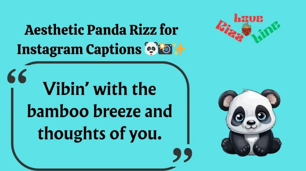 Aesthetic Panda Rizz for Instagram Captions 
