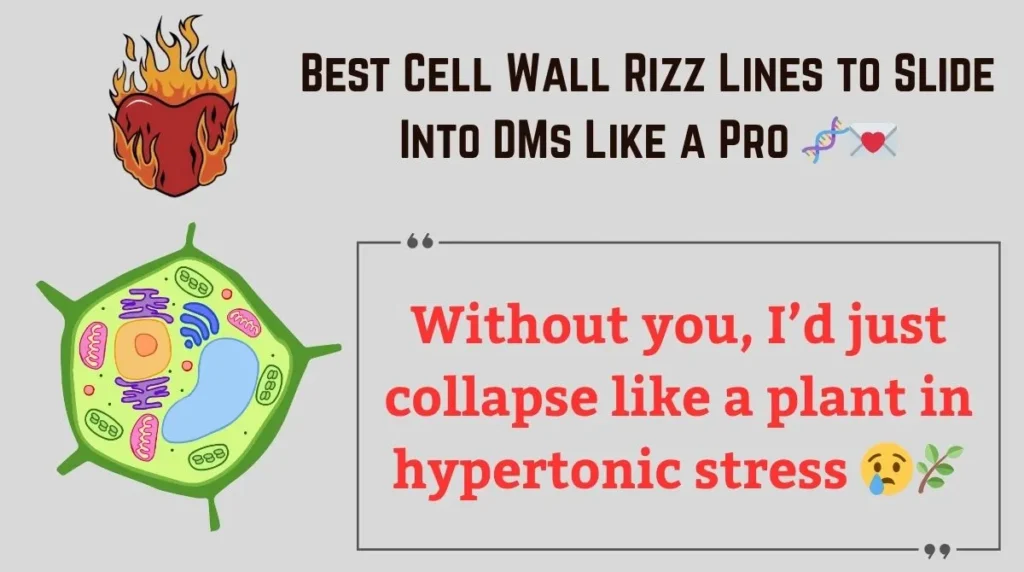 Best Cell Wall Rizz Lines to Slide Into DMs Like a Pro 