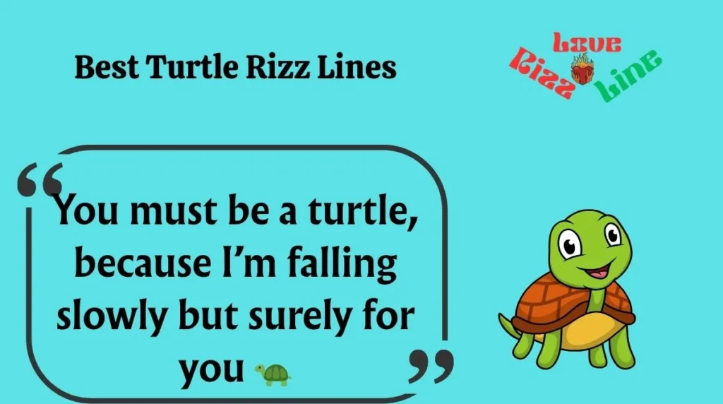 Best Turtle Rizz Lines