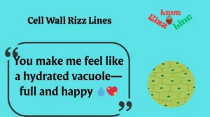 Read more about the article 🔥162+ Cell Wall Rizz Lines to Make Your Love Life Unbreakable in 2025 🧱❤️