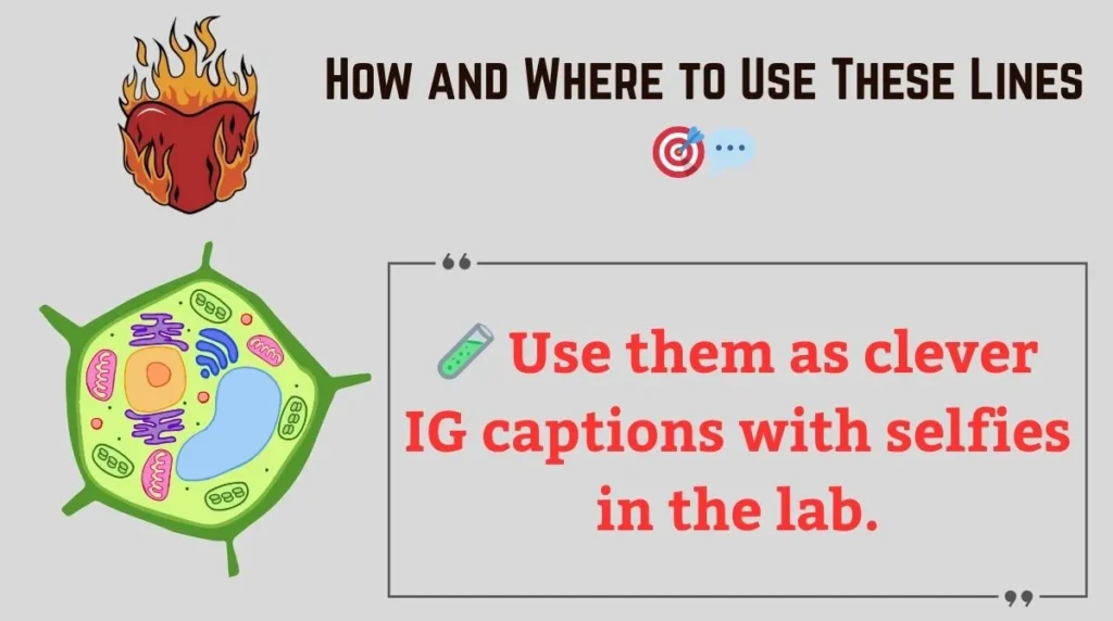 How and Where to Use These Lines 