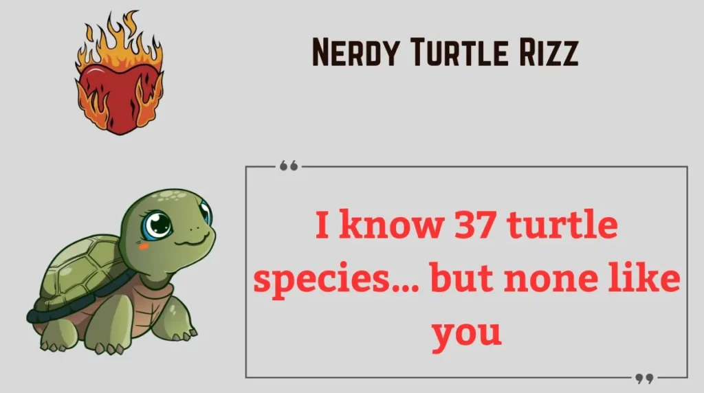 Nerdy Turtle Rizz