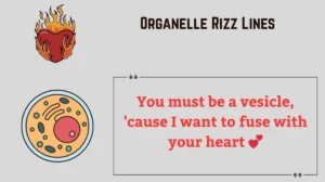Organelle Rizz Lines
