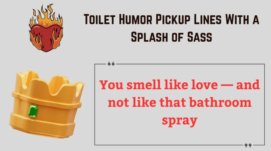 Toilet Humor Pickup Lines With a Splash of Sass