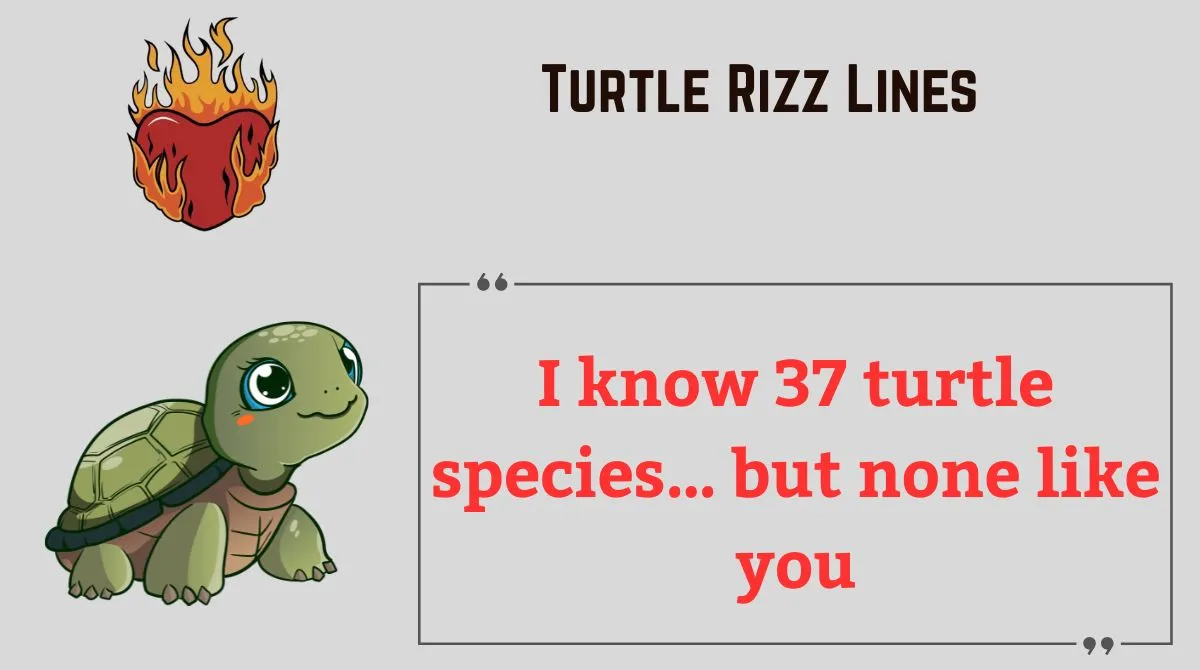 You are currently viewing 🐢 189+ Turtle Rizz Lines That’ll Shell-Shock Your Crush in 2025 💚✨