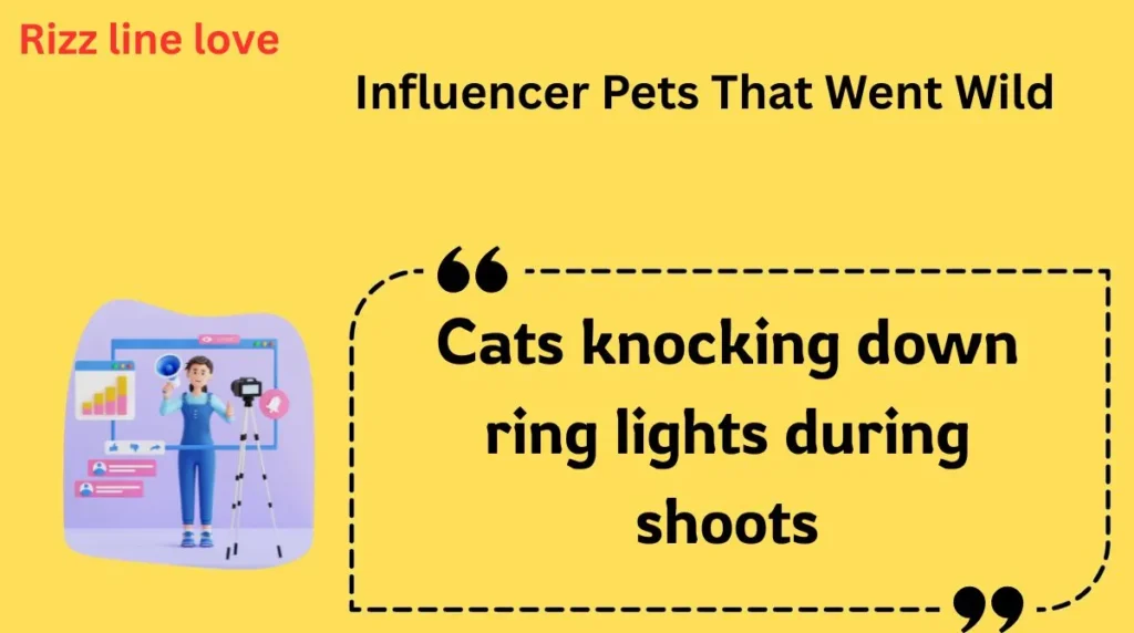 Influencer Pets That Went Wild