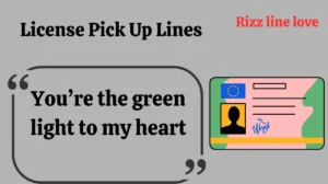 License Pick Up Lines