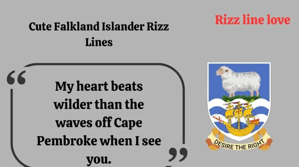 Cute Falkland Islander Rizz Lines