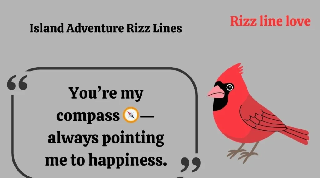 Island Adventure Rizz Lines