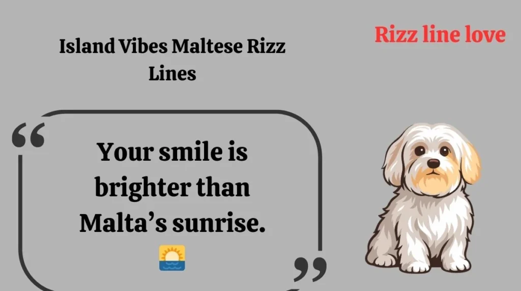 Island Vibes Maltese Rizz Lines