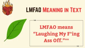 LMFAO Meaning in Text