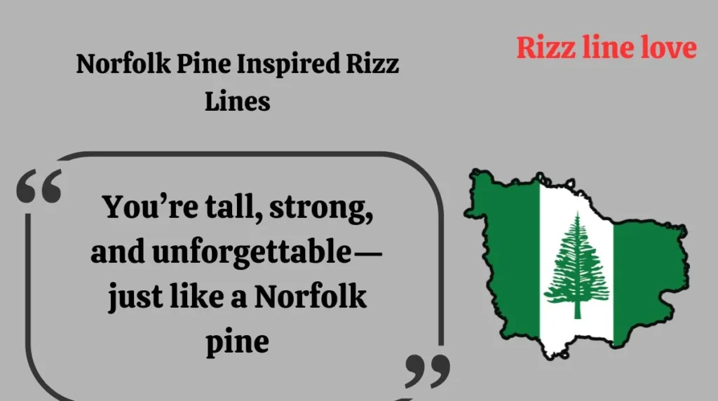 Norfolk Pine Inspired Rizz Lines