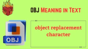 OBJ Meaning in Text