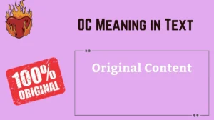 Read more about the article OC Meaning in Text 📱 | What “OC” Really Stands For and How to Use It Online