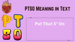 PTSO Meaning in Text