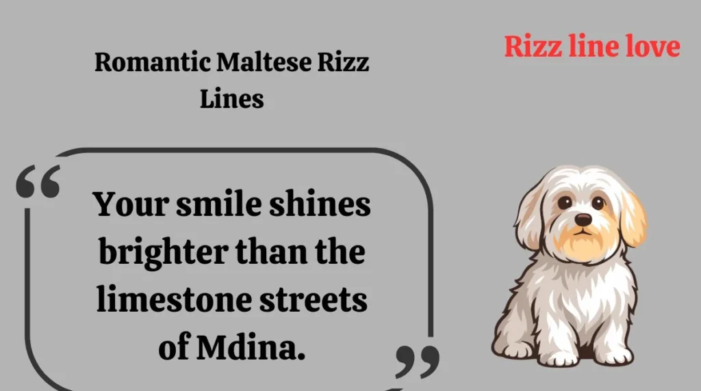 Romantic Maltese Rizz Lines