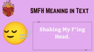 Read more about the article SMFH Meaning in Text 🤯 | What It Really Means & How to Use It