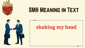 SMH Meaning in Text