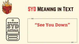 SYD Meaning in Text