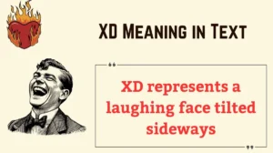XD Meaning in Text