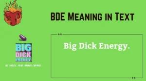 BDE Meaning in Text