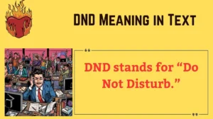 Read more about the article 📱 DND Meaning in Text: What It Really Means and How to Use It