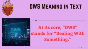 Read more about the article 🧠 DWS Meaning in Text (2025): Real Meaning, Origins, and How to Use It Like a Pro