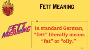 Read more about the article 🔥 Fett Meaning: From German Slang to Star Wars Legends 🚀