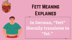 Read more about the article Fett Meaning Explained: History, Usage, and Cultural Insights In 2k25🎭
