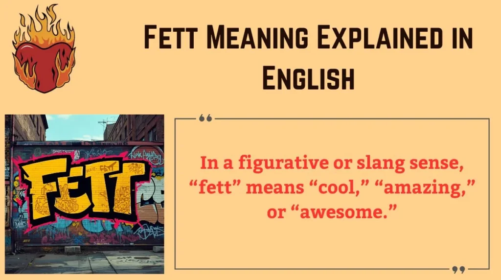 Fett Meaning Explained in English