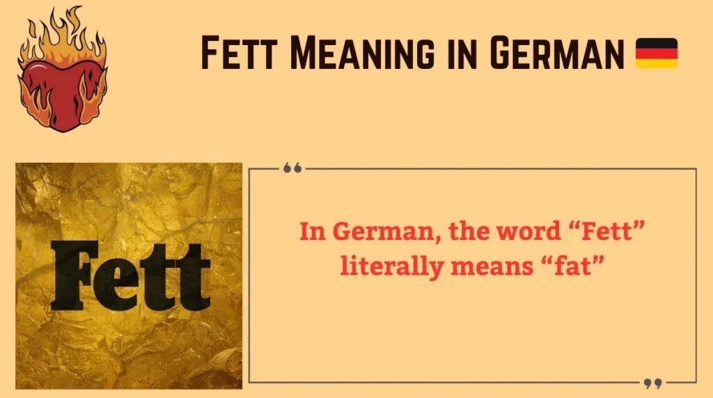 Fett Meaning in German 🇩🇪