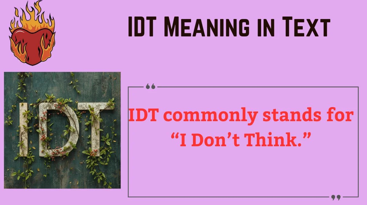 Read more about the article IDT Meaning in Text 📱: The Complete Guide for 2025
