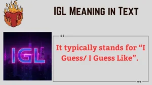 Read more about the article 📝 IGL Meaning in Text: What It Really Means and How to Use It in 2025