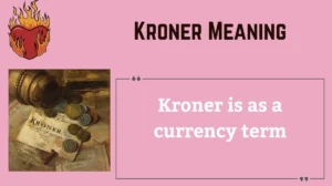 Read more about the article 💰 Kroner Meaning: Currency, Slang, History & More Explained