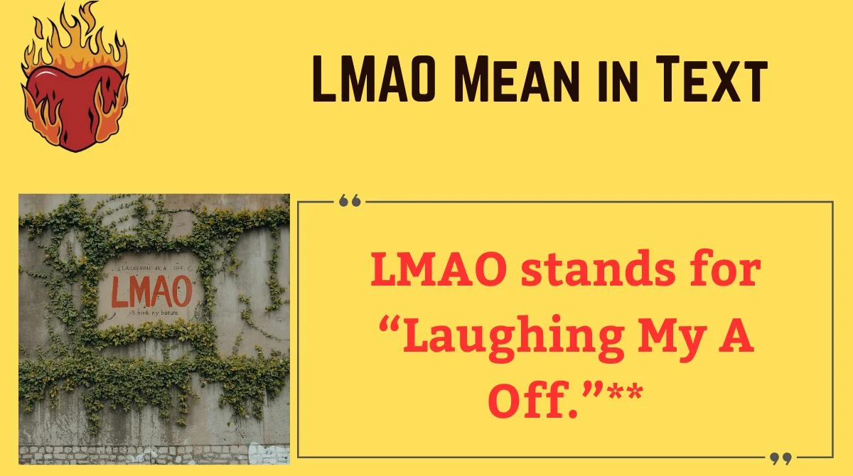 You are currently viewing 😂 What Does LMAO Mean in Text? The Ultimate Guide