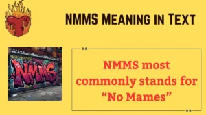 Read more about the article 😲 NMMS Meaning in Text: The Complete Guide to This Trending Acronym