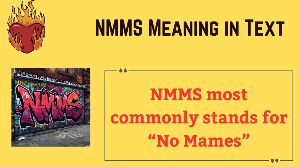 You are currently viewing 😲 NMMS Meaning in Text: The Complete Guide to This Trending Acronym
