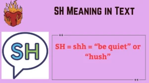 Read more about the article SH Meaning in Text 📱: Everything You Need to Know in 2025