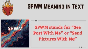 Read more about the article SPWM Meaning in Text: The Ultimate Guide for 2025 📱💬