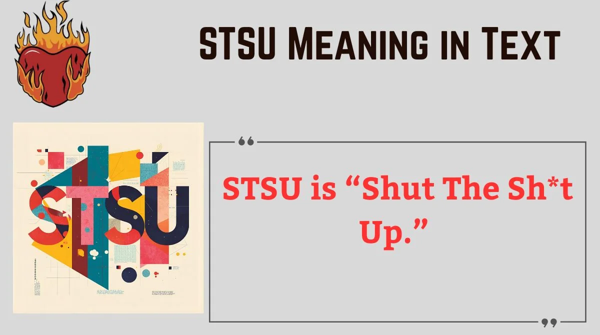You are currently viewing STSU Meaning in Text 💬 | Full Guide to Meaning, Usage & Hidden Context